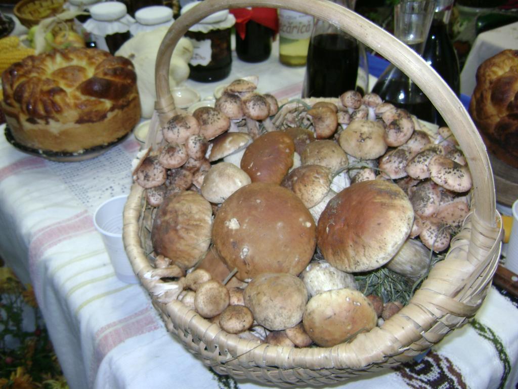 Casa Bunicii Din Bucovina Villa Vama  Oda fotoğraf