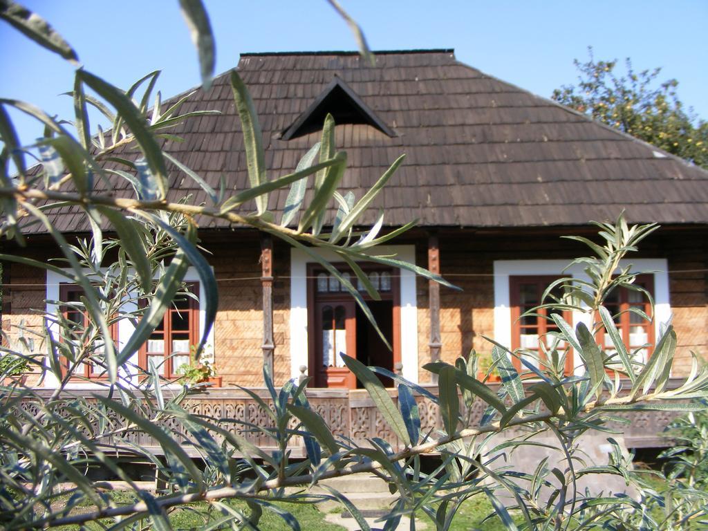 Casa Bunicii Din Bucovina Villa Vama  Dış mekan fotoğraf